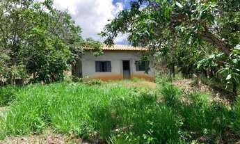 Imagem 5: Chácara 1.000m², casa simples, com agua e luz, Jaboticatubas