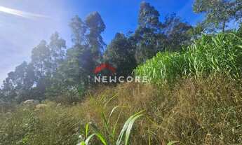 Imagem: Chácara em Santa Lúcia do Piaí (caxias