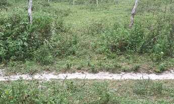 Imagem 2: Terreno Praia em Salinas