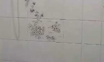 Imagem 7: Belo Horizonte - Casa Padrão - Europa