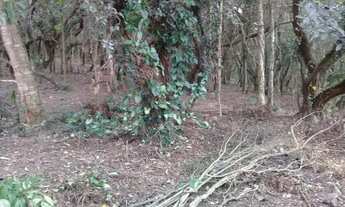 Imagem 3: Terreno à venda, 1200 m² - Granja Viana II - Cotia/SP