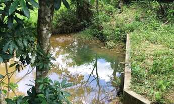 Imagem 3: Terreno com fácil acesso ao asfalto