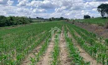 Imagem 2: EXCELENTE Sitio com 30 alqueires na região de Cajuru-SP