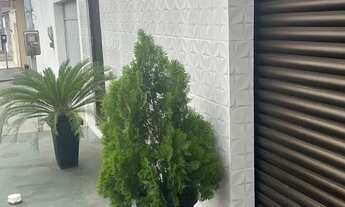 Imagem: 003-casa no parque vitória