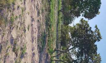 Imagem 3: Terreno Terreno / lote com venda por R$18.000