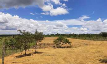 Imagem 4: ? LOTE RURAL COM 5.300 m² - PRONTO PARA USO IMEDIATO ?