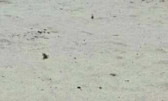 Imagem 7: Lote com 326m² no Cond. Sunset Beach? Barra dos Coqueiros/SE_