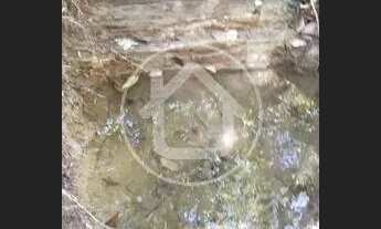 Imagem 2: SÍTIO TERRA VERMELHA 14 HECTARES