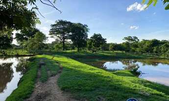 Imagem: Fazenda à Venda em Israelândia-GO com