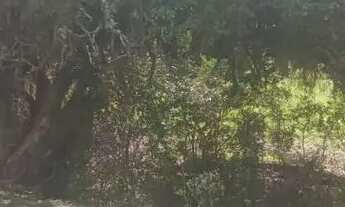 Imagem 5: TORRO 3 terrenos em condomínio fechado GuaibaRS