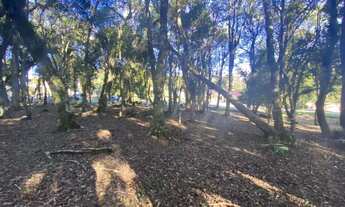 Imagem 7: Lote em condomínio em Av Borges de Medeiros - Mato Queimado - Gramado/RS