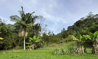 Imagem 6: Chácara plana próxima a Juquitiba