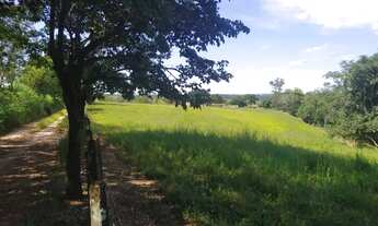 Imagem 6: Sítio a venda com 31 alqueires