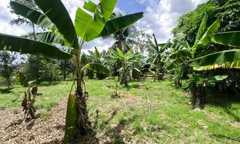 Imagem 4: Chácara Chácara com venda por R$180.000