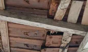 Imagem 5: Terreno em São José de Fruteiras Nova