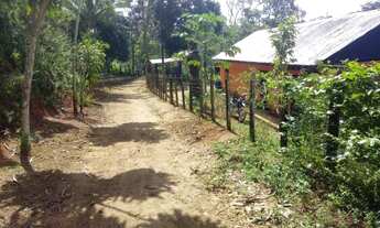 Imagem 2: Vendo Fazenda de cacau