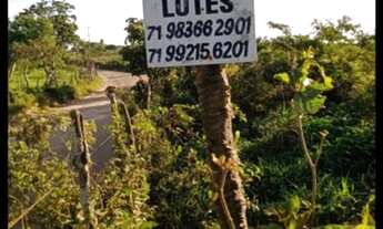 Imagem 2: Para vender!!! Vende-se conjunto de 4 lotes 1000 m2 esquina da tapera Cabaceiras