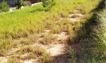 Imagem: Vendo lote de Chacara Bairro Acapulco 1000metros