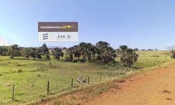 Imagem 5: Fazenda Extra ! Município de Palestina - GO ! 175 Alqueires !