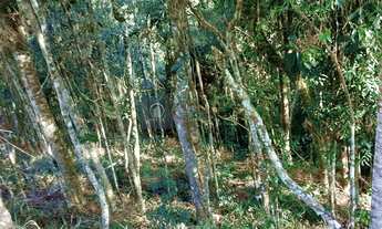 Imagem 4: Terreno Lote para Venda em Parque do Imbui Teresópolis-RJ - LT-0987