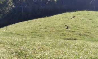 Imagem 7: Fazenda/Sítio/Chácara para venda possui 1210000 metros quadrados com 2 quartos