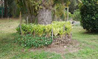 Imagem 5: Casa em terreno de 5.425 m ²