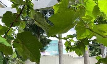 Imagem 5: Esplêndido Sobrado com 4 dormitórios à venda, 538 m² por R$ 2.900.000 - Vila Rosália - Gua