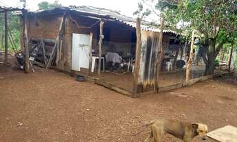 Imagem: OPORTUNIDADE !!! Grande fazenda!!!