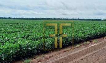 Imagem 2: Fazenda 4.488 Hectares, Canarana, MT