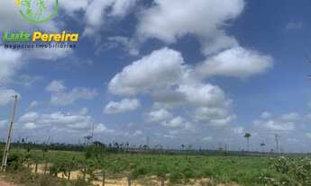 Imagem: FAZENDA À VENDA EM PACAJÁ - PA - 968 HECTARES