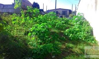 Imagem 5: Terreno, Primavera, Esteio