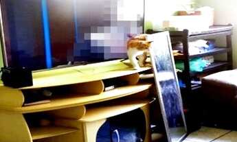 Imagem: Apartamento 2 dorms para Venda - Parque