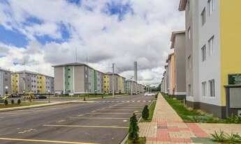 Imagem 6: COLOMBO - Padrão - São Gabriel