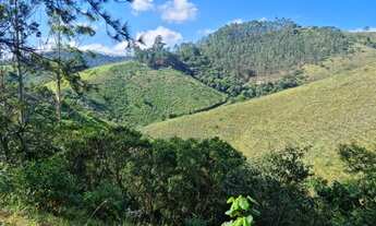 Imagem 4: Sitio a venda em São Francisco Xavier-SP