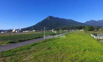 Imagem 4: Terreno à venda, 475 m² por R$ 191.000,00 - Guarda do Cubatão - Palhoça/SC