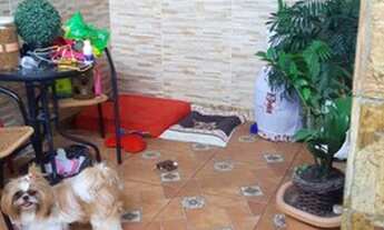 Imagem 3: Cascadura R$230mil Casa triplex Sala 2quartos, terraço piscina e churrasqueira 1 vaga