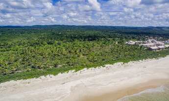 Imagem: Gleba em Ilhéus