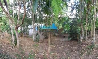 Imagem 4: Florianópolis - Sítio - Vargem Pequena