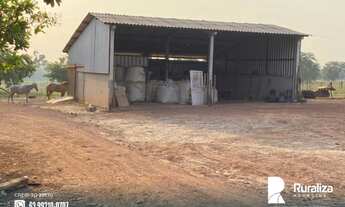 Imagem 2: Fazenda com dupla aptidão e 730,02 hectares na região de Guaraí - TO