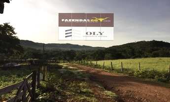 Imagem 4: OPORTUNIDADE ! Fazenda em Rubiataba-GO ! 255 Alqueires !