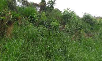 Imagem 4: Terreno com 3 Dormitorio(s) localizado(a) no bairro Cristo Rei em São Leopoldo / RIO GRAND