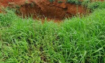 Imagem 3: Oportunidade! Vende-se uma excelente fazenda de 624 Hectares