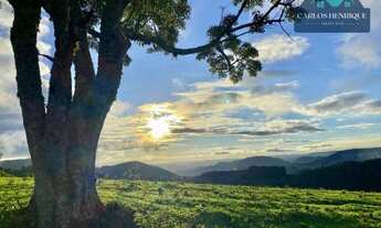 Imagem 7: Terreno a venda em Toledo Minas Gerais