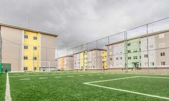 Imagem 7: COLOMBO - Padrão - São Gabriel