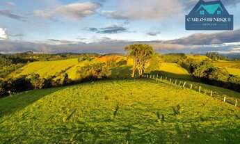 Imagem 6: Terreno a venda em Toledo Minas Gerais