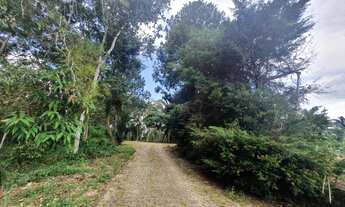 Imagem 7: Lugar maravilhoso, o pedaço de terra ideal para construir a casa na montanha!