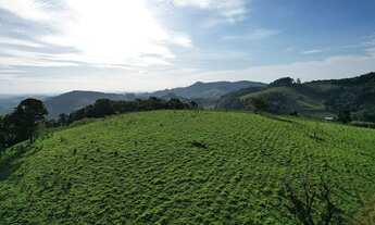 Imagem: TERRENO NA SERRA DA MANTIQUEIRA