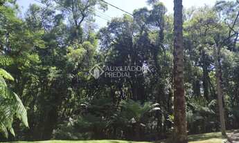 Imagem 5: GRAMADO - Terreno Padrão - Vila Moura