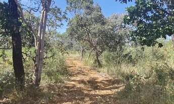 Imagem 6: Fazenda/Sítio/Chácara para venda tem 10000 metros quadrados em Planaltina - Brasília - DF