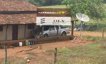 Imagem 6: OPORTUNIDADE ! Fazenda em Rubiataba-GO ! 255 Alqueires !